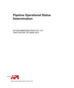 API RP 1181