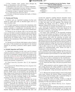 ASTM F3121/F3121M