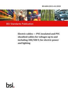 BS 6004