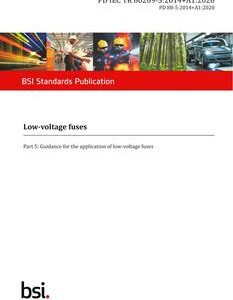 BS PD IEC TR 60269-5