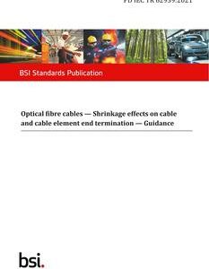 BS PD IEC TR 62959