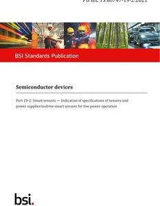 BS PD IEC TS 60747-19-2