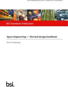 BS PD CEN/CLC/TR 17603-31-13