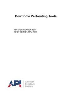 API SPEC 19PT