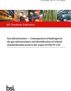 BS PD CEN/TR 17797