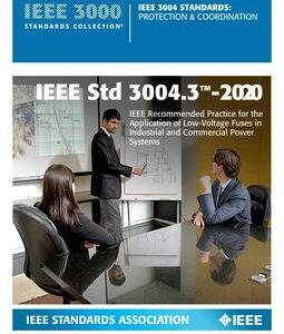 IEEE 3004.3