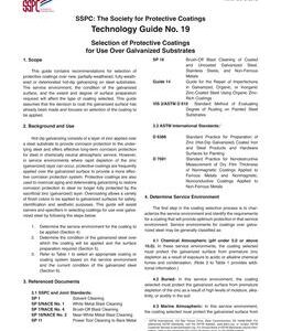 SSPC Guide 19