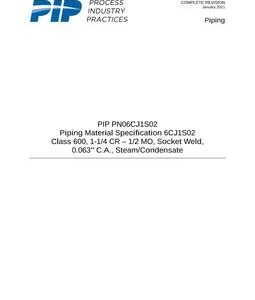 PIP PN06CJ1S02