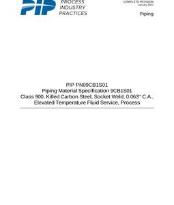 PIP PN09CB1S01