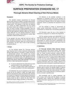 SSPC SP 17