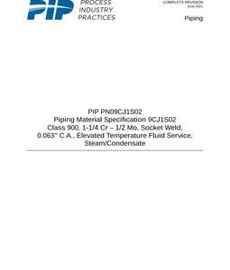 PIP PN09CJ1S02