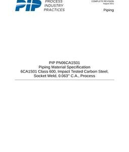 PIP PN06CA1S01