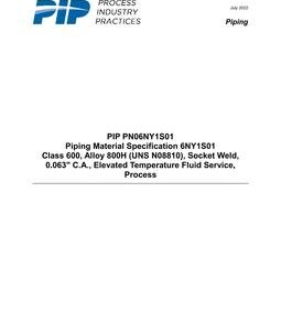 PIP PN06NY1S01